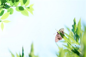 白癜风日常注意什么常识